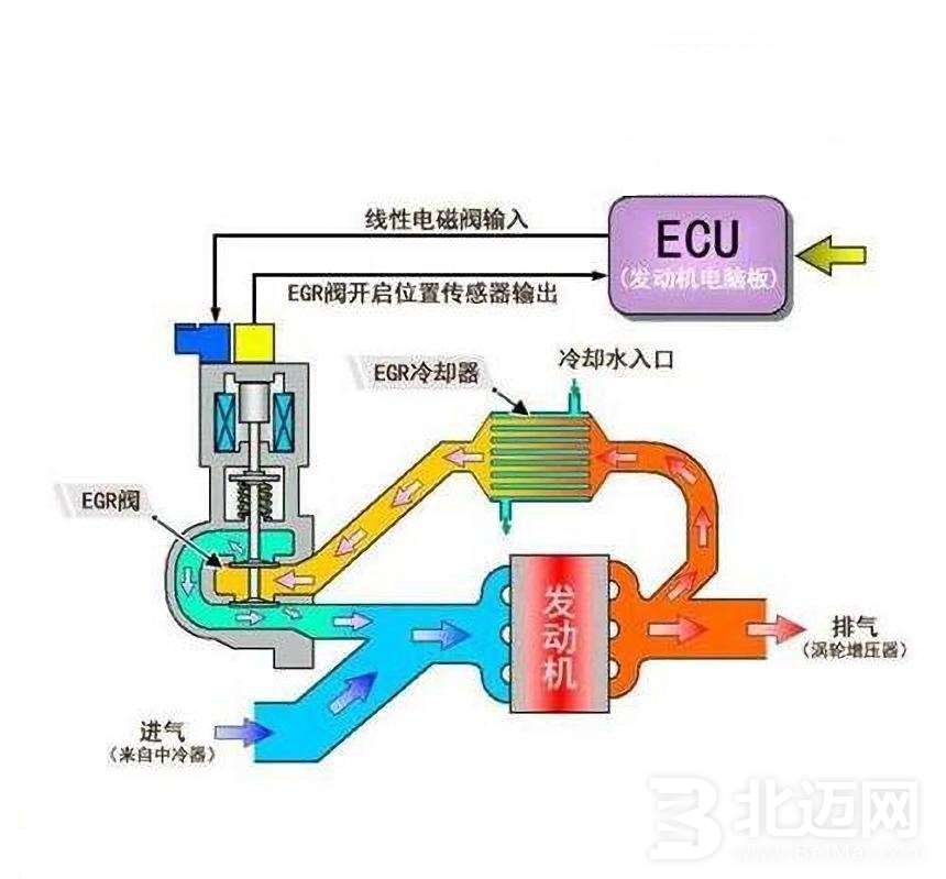 ERG冷卻器.jpg